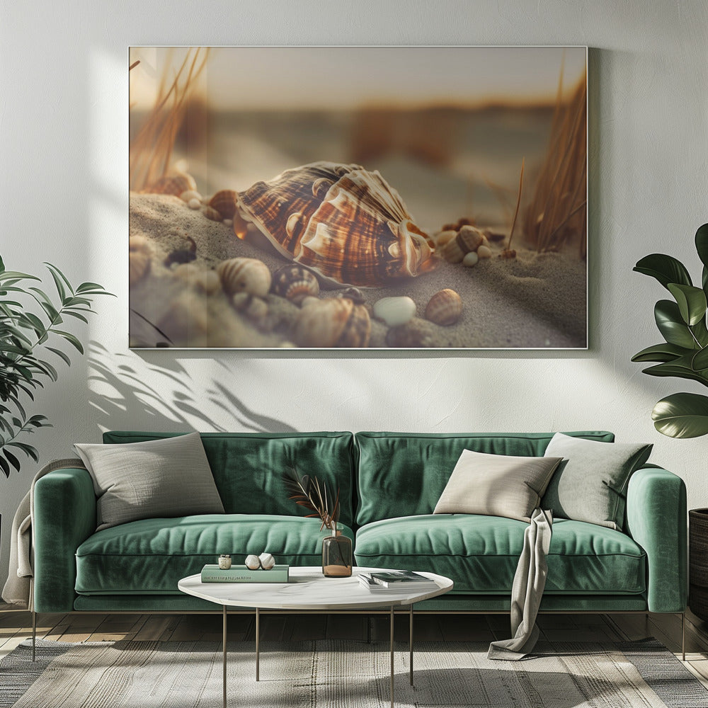 Shells at Sunset | Canvas