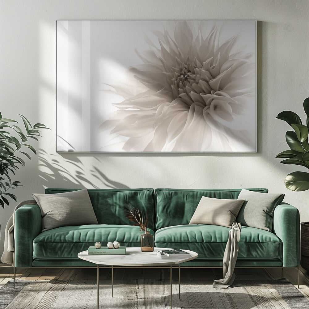 dignified | Canvas