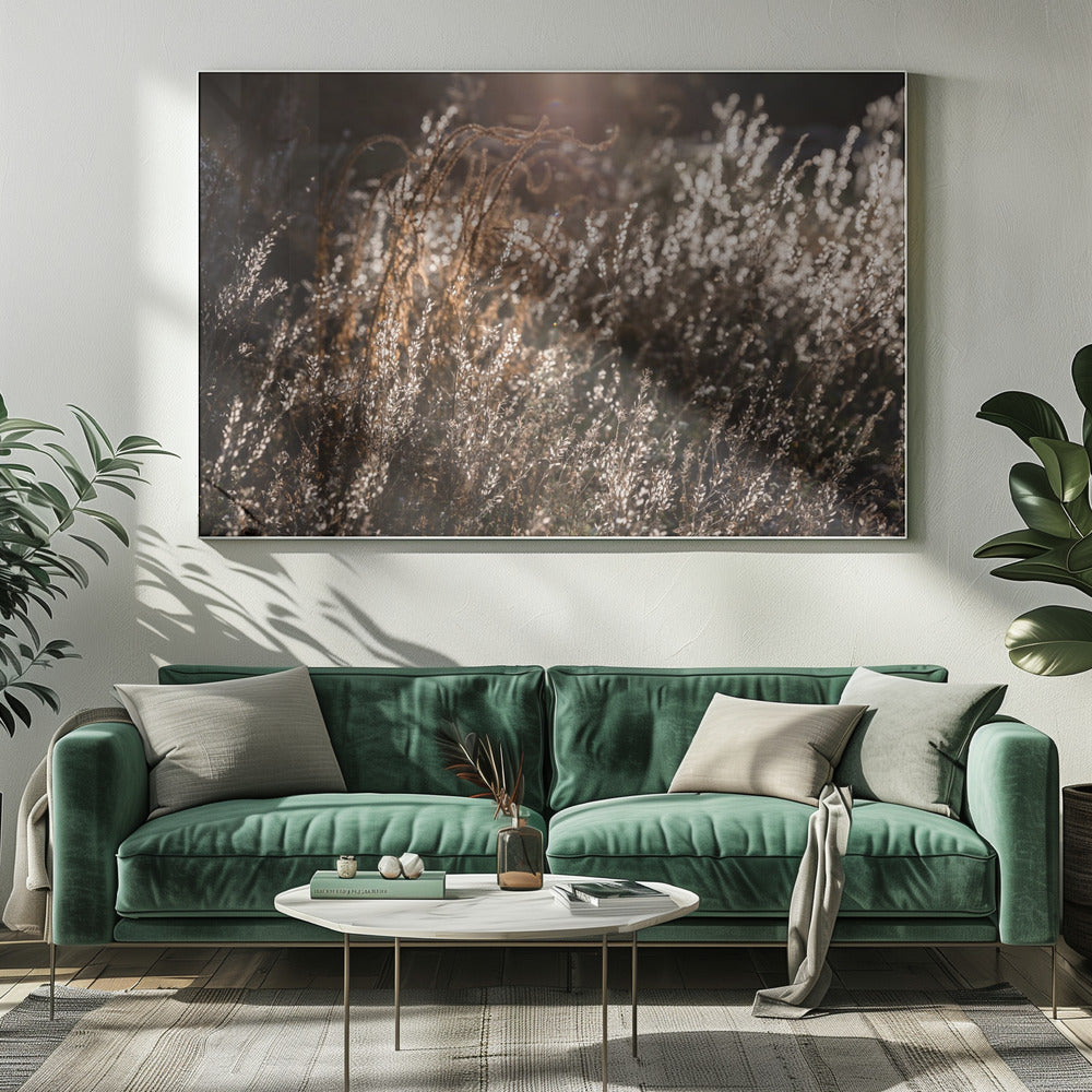 Warm Winter Light 4 | Canvas