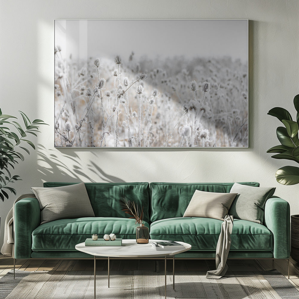 Winter Field 5 | Canvas