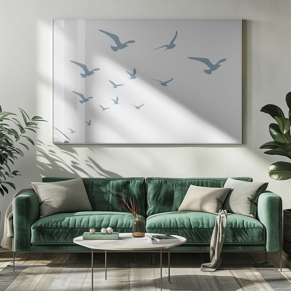 Seagulls White Background | Canvas