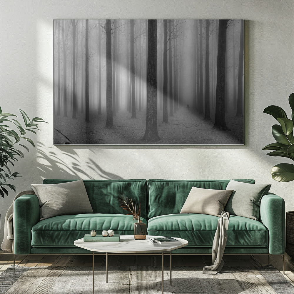 In a Fog | Canvas