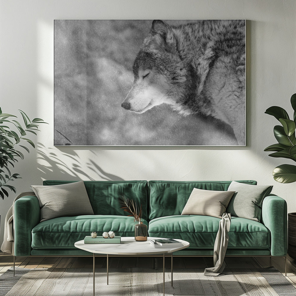 Let it snow | Canvas