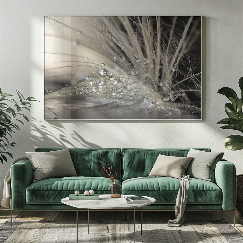 Pearls | Canvas