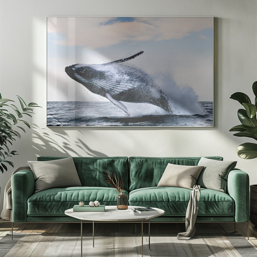 breach | Canvas
