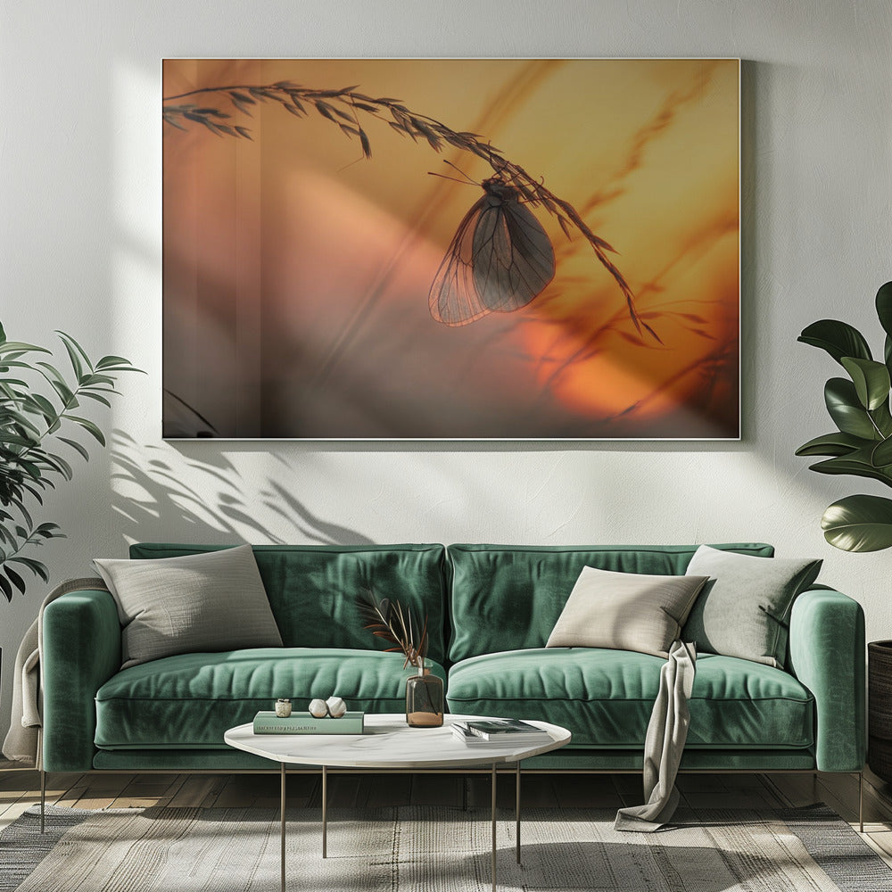 Good night | Canvas