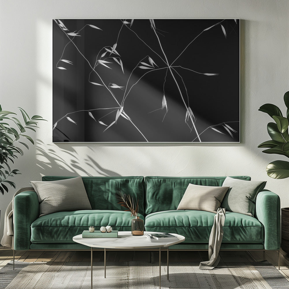 Crossed Lines | Canvas