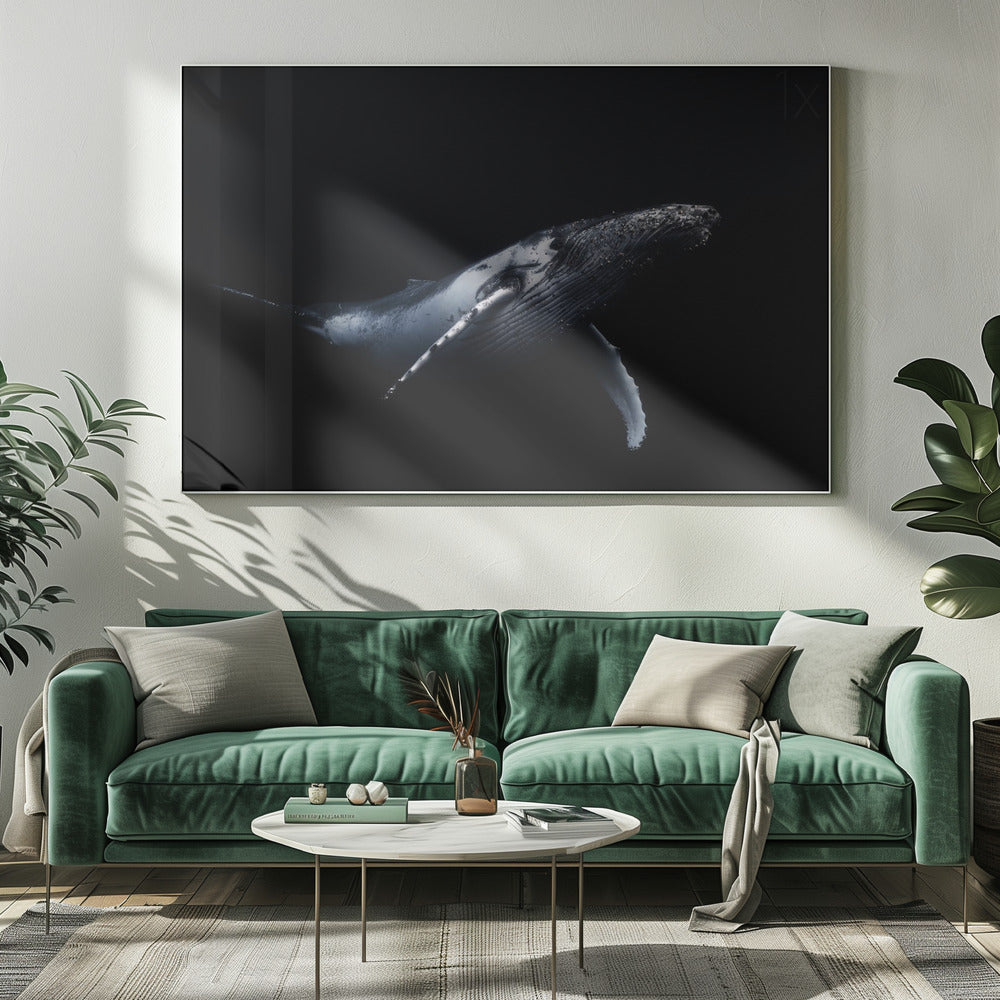 Black & Whale | Canvas