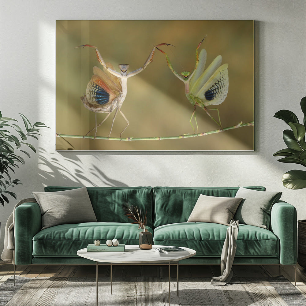 Show Time | Canvas