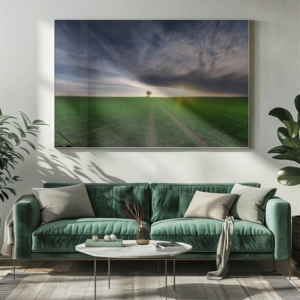 loner in the sun | Canvas
