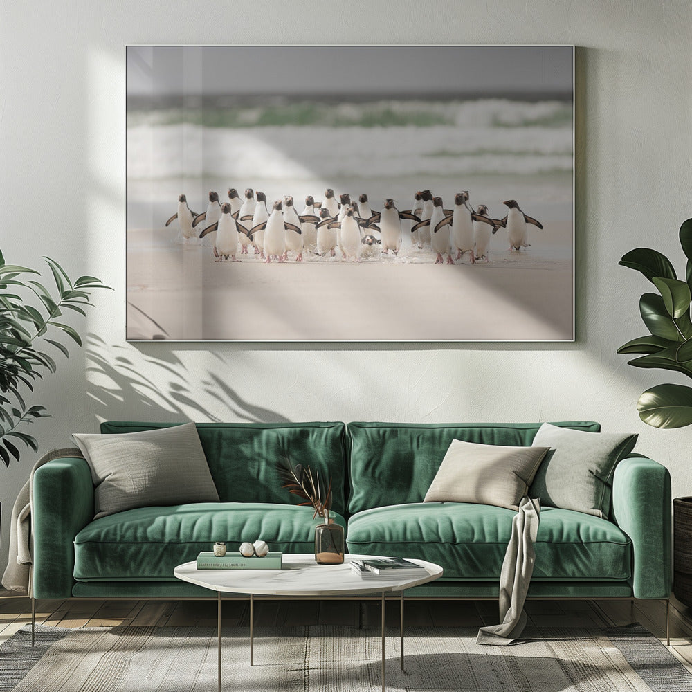 Desembarco | Canvas