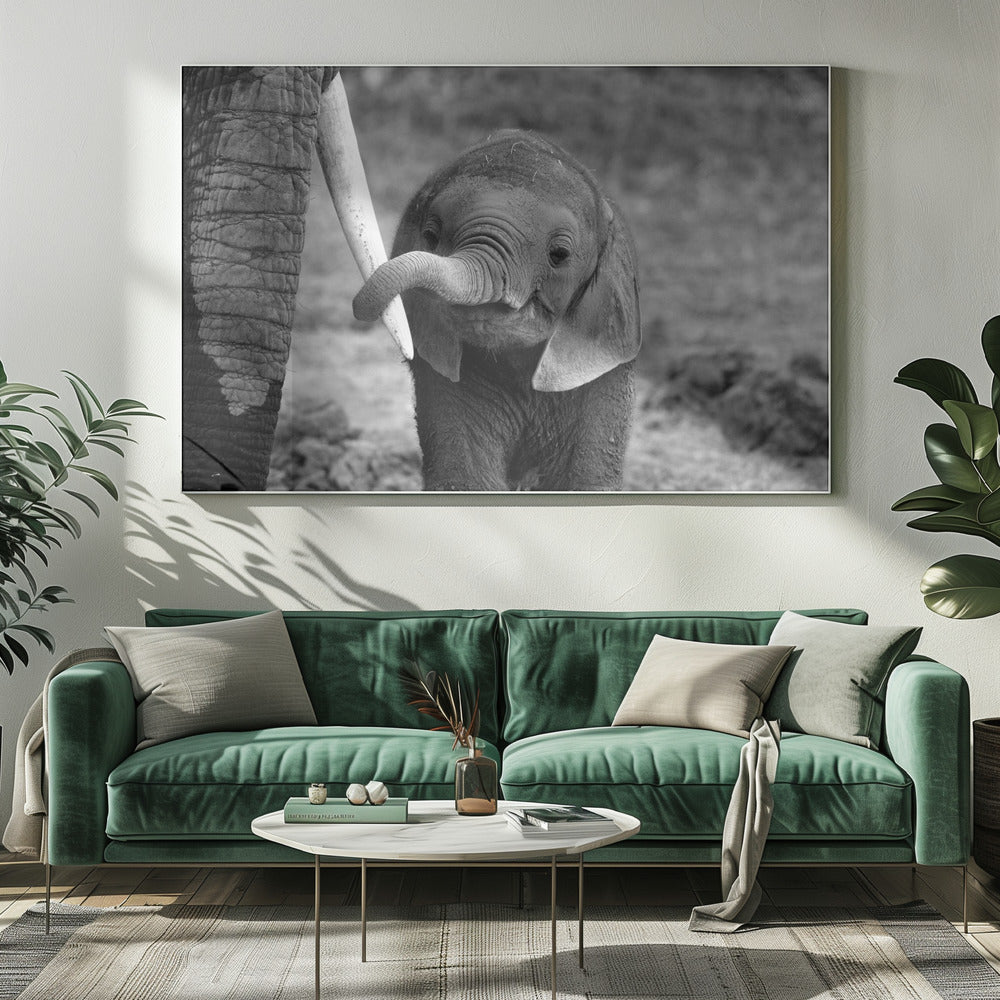 Close | Canvas