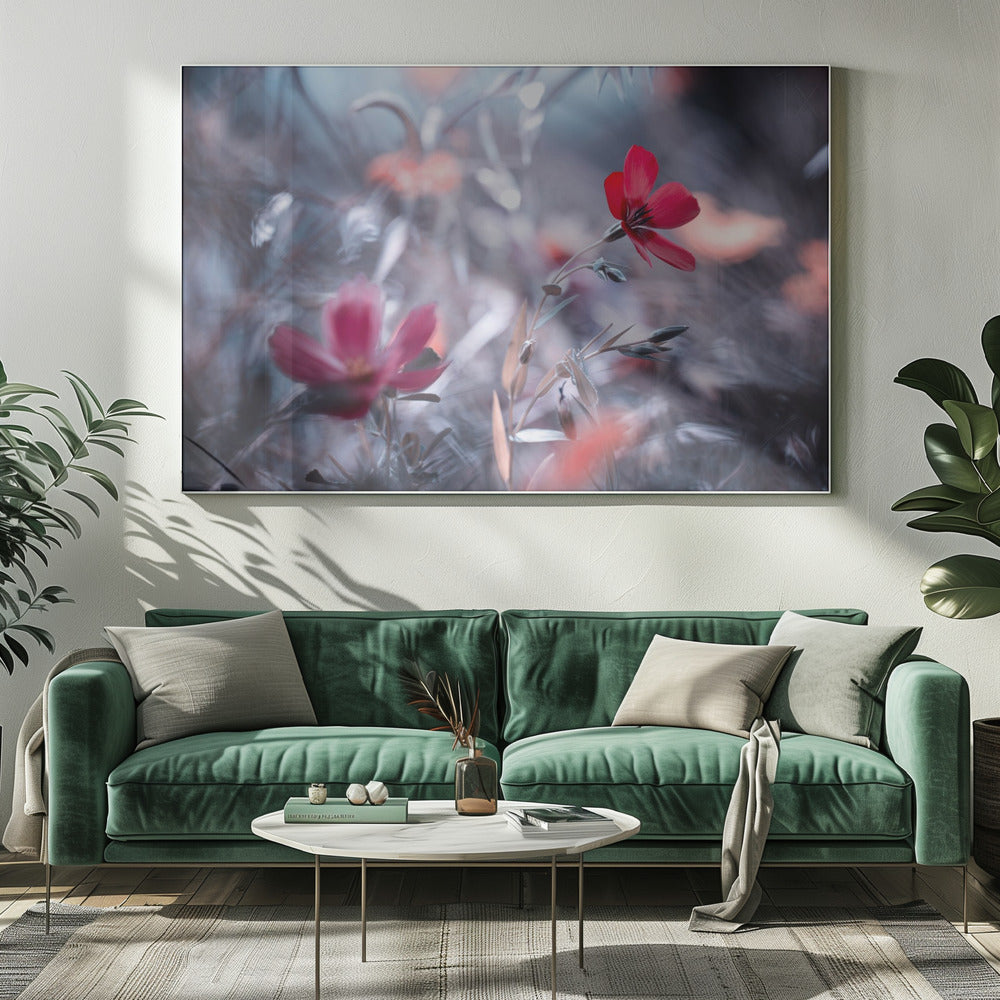 Une Fleur, une Histoire | Canvas