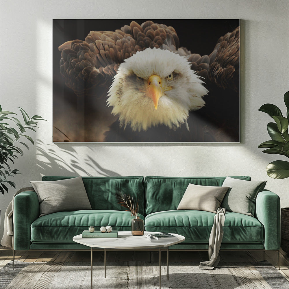 The Judge | Canvas