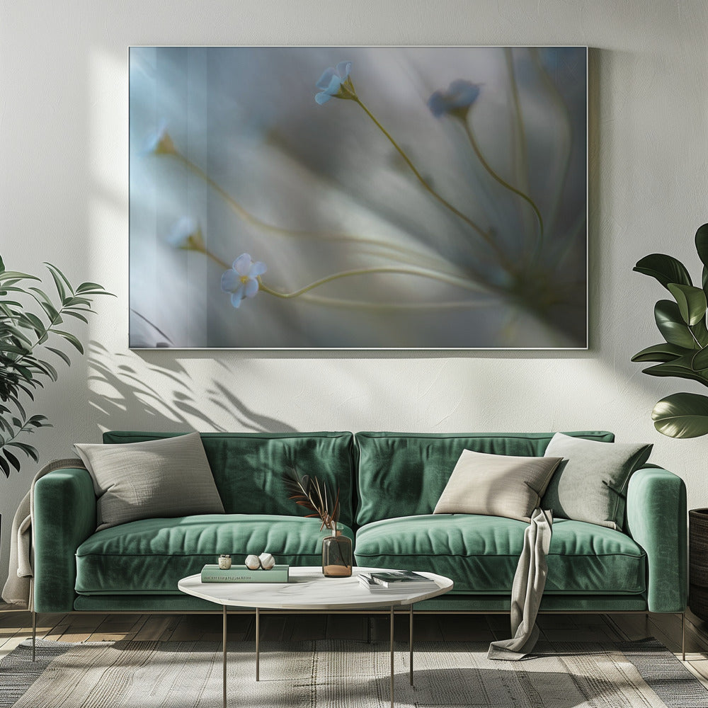 Jasmine | Canvas