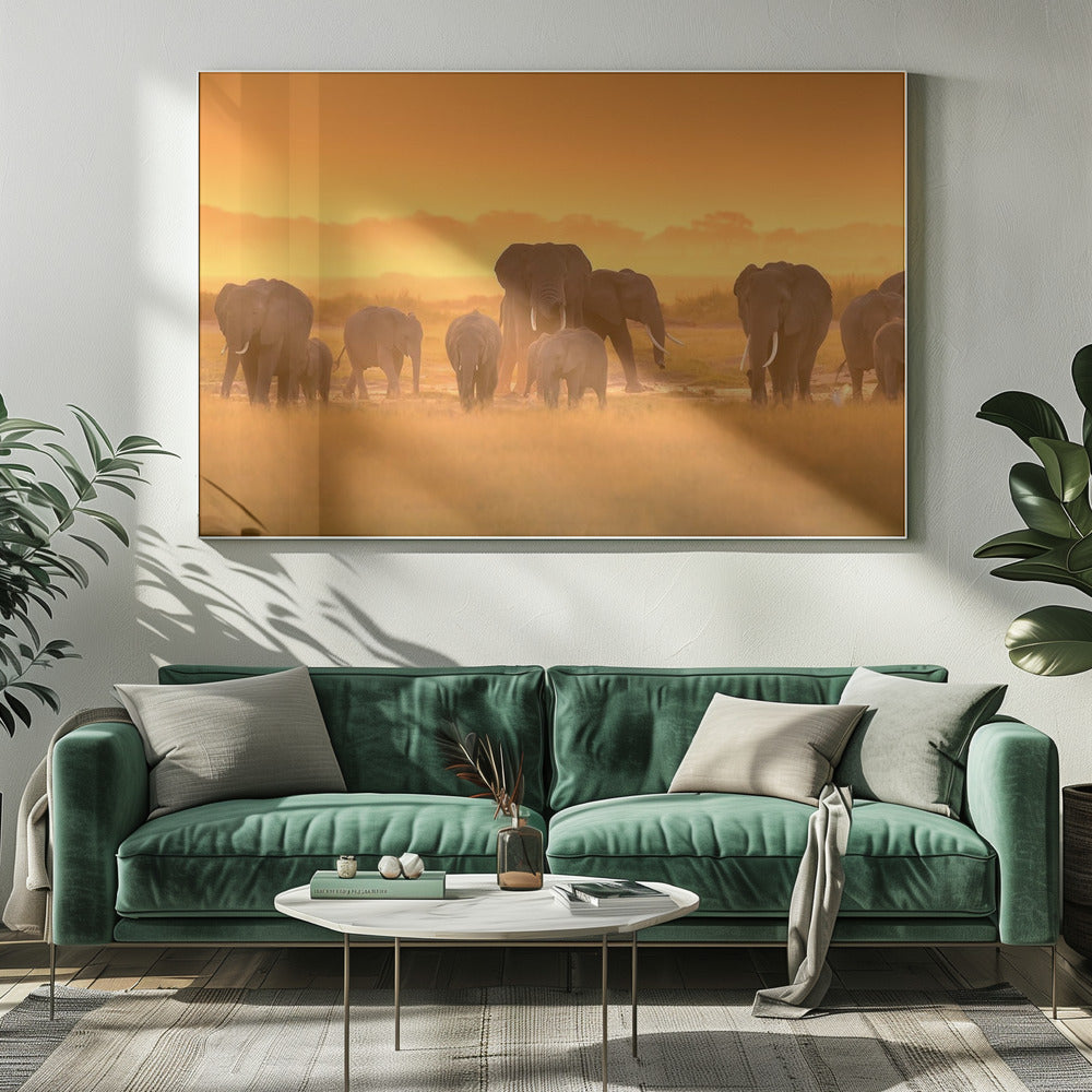 Golden Light | Canvas