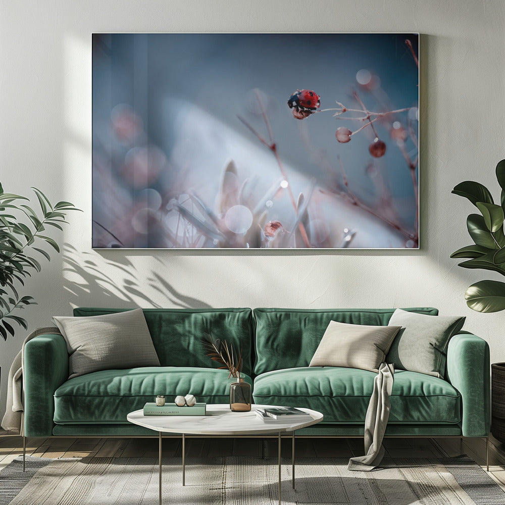 High Diving | Canvas