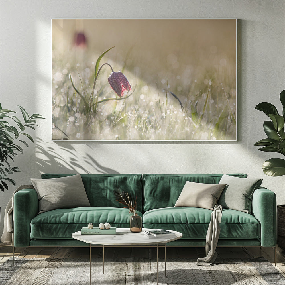 Morningdew | Canvas