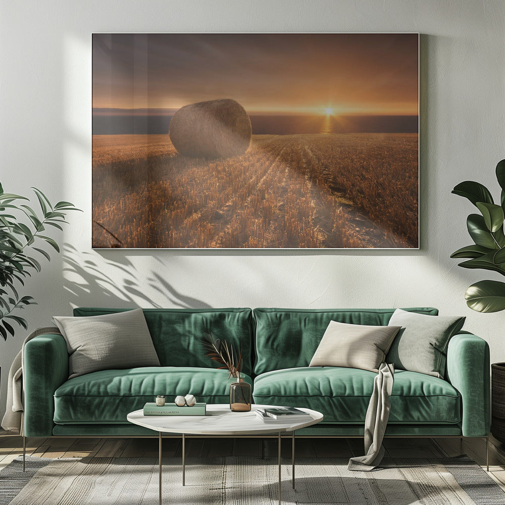 Gold Harvest | Canvas