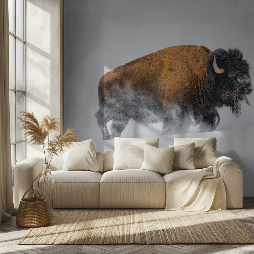 Bison in the Snow | Wallpaper