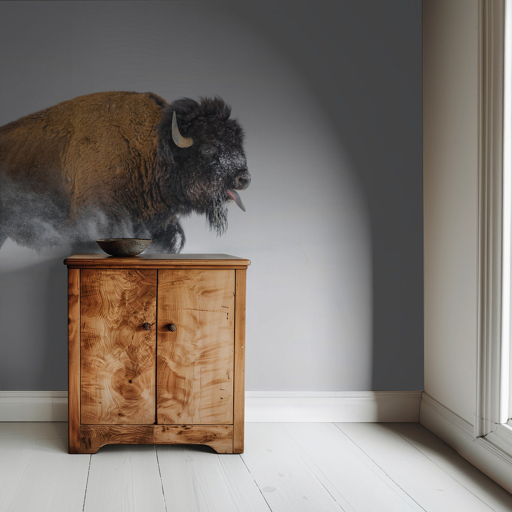 Bison in the Snow | Wallpaper