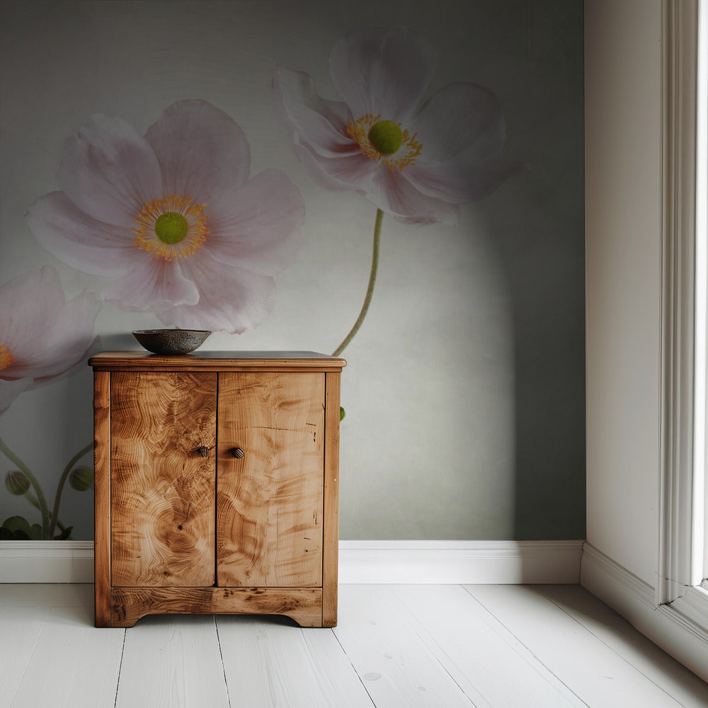 Anemones | Wallpaper