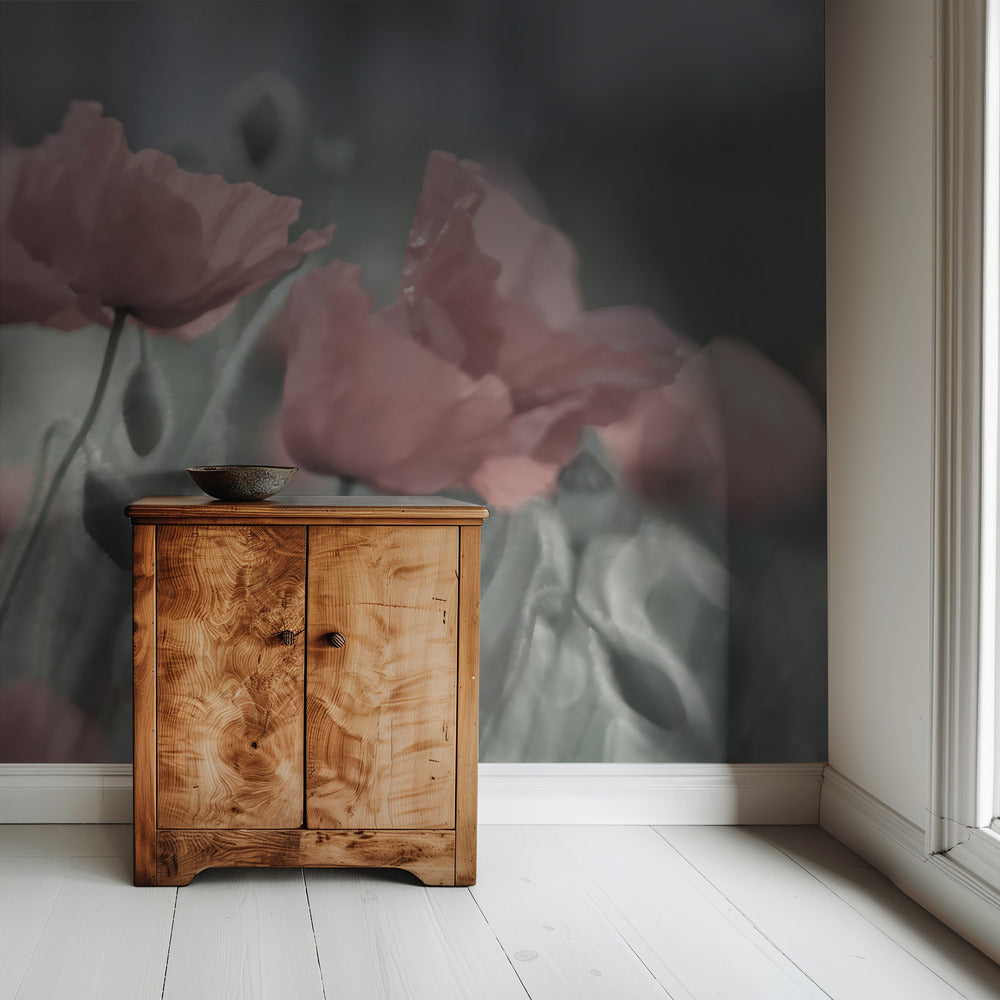 Softly | Wallpaper