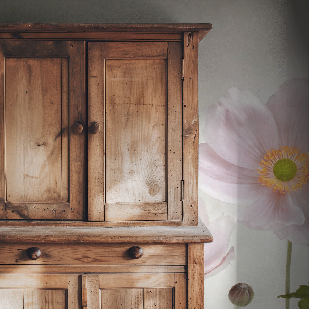 Anemones | Wallpaper