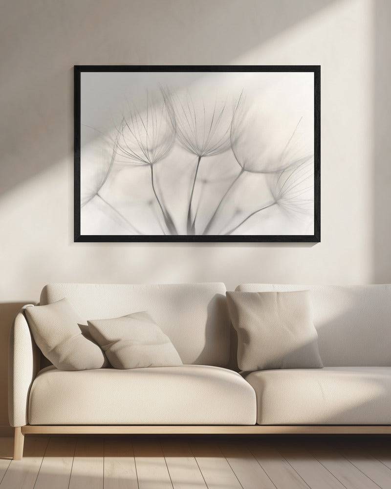No title | Canvas
