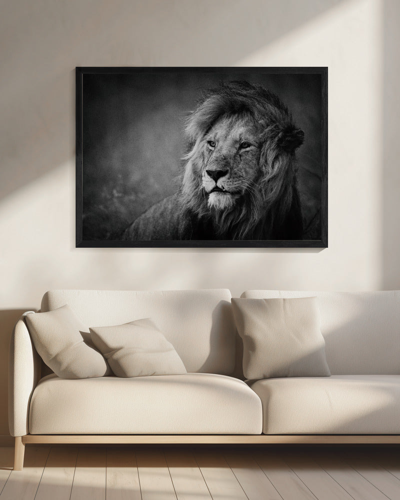 Regal | Canvas