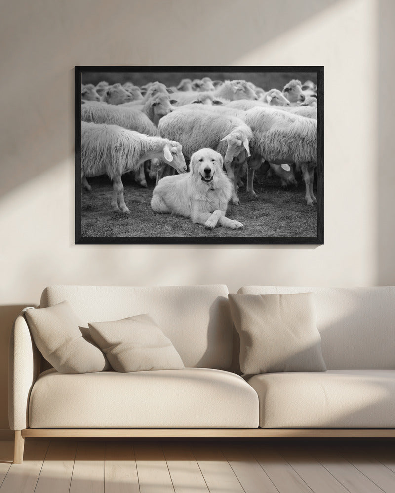 The Boss | Canvas