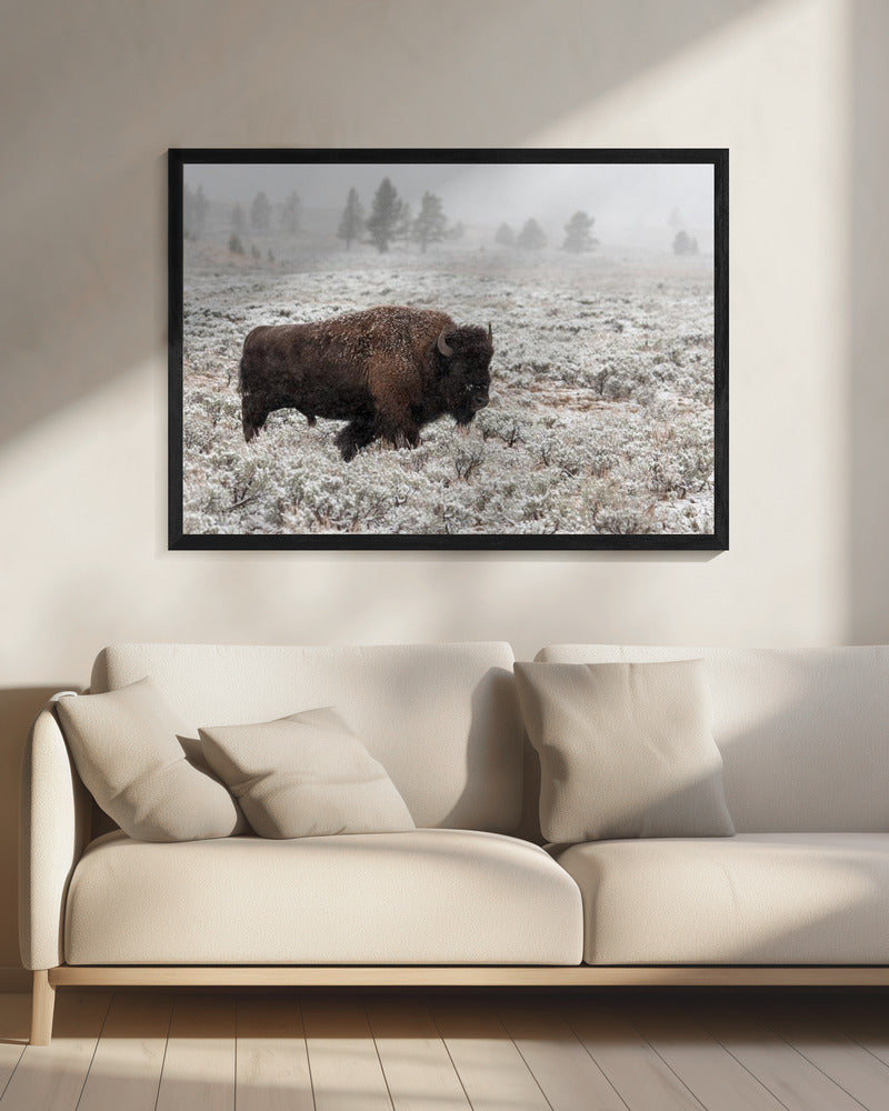 Late Fall Yellowstone | Canvas