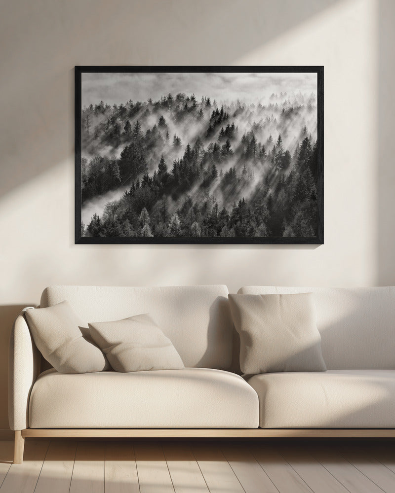 Sundance No.1 | Canvas