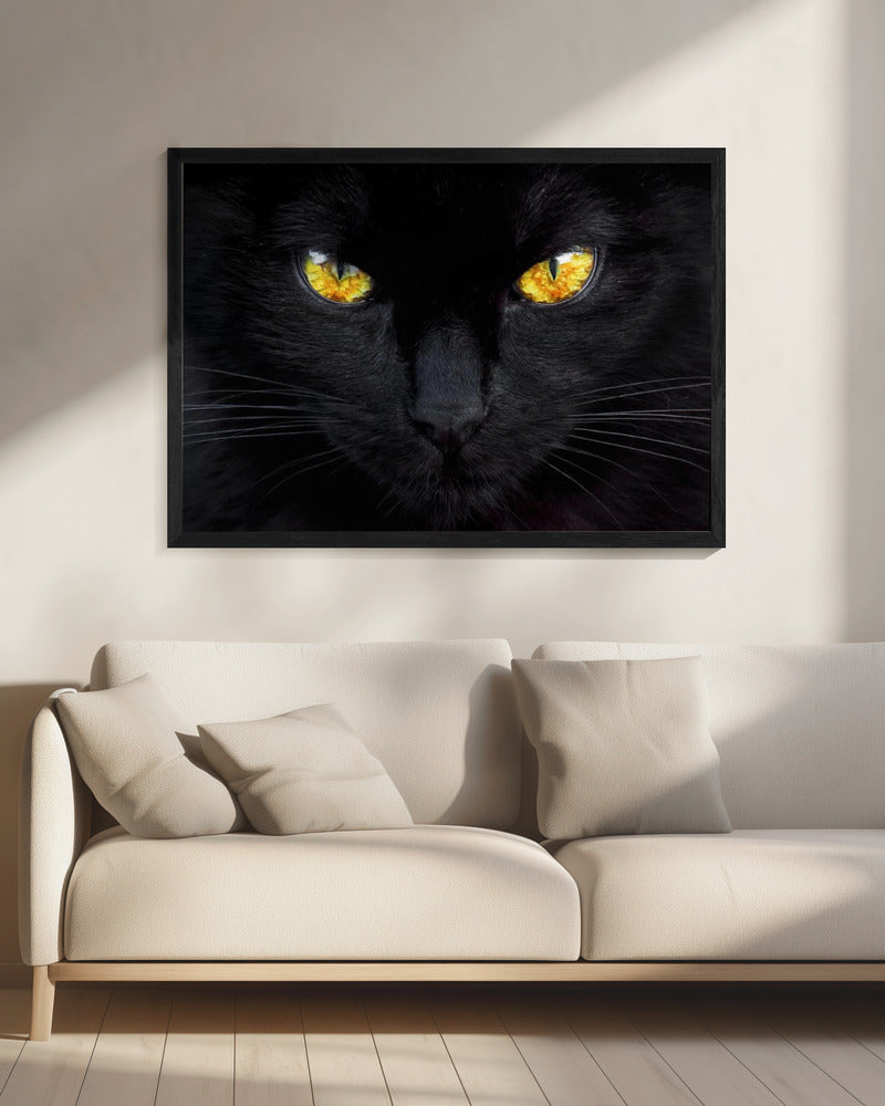 The hypnotist of the night | Canvas