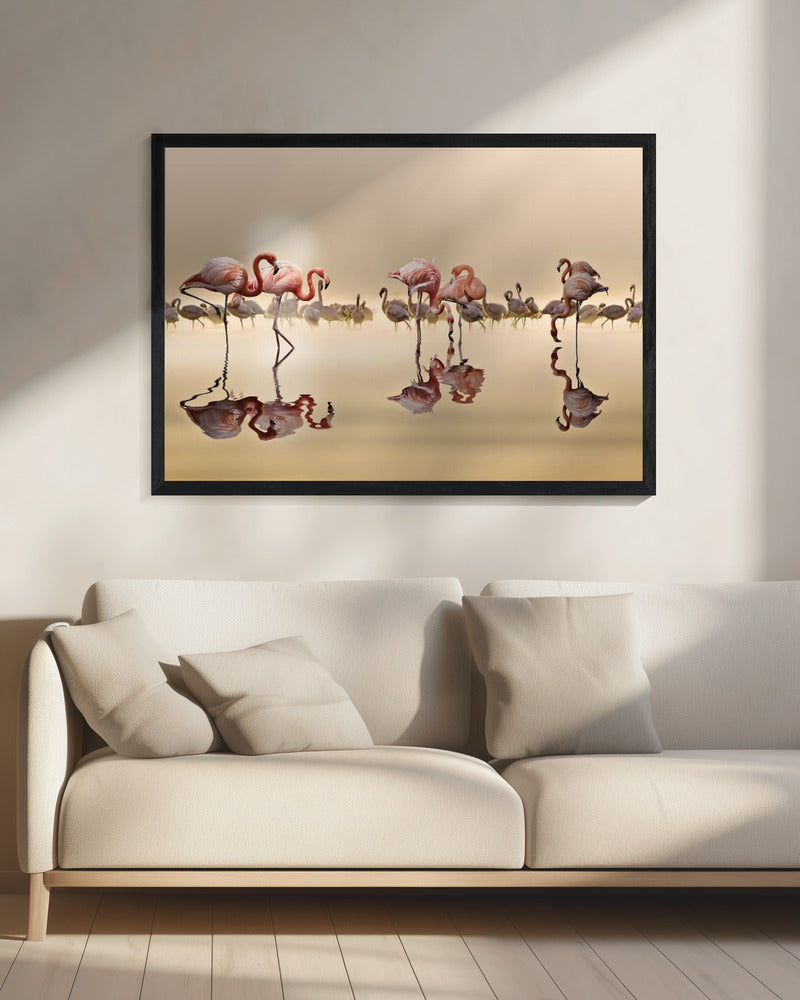 FLAMINGOS | Canvas