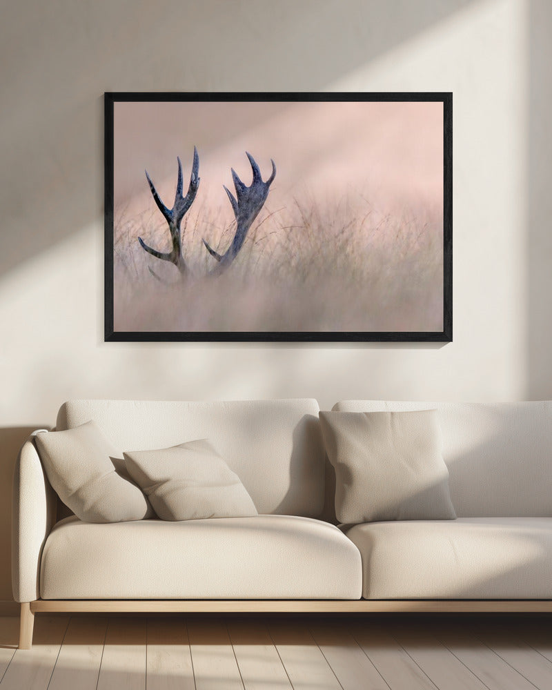 Hide & Seek ( Horn of Stag) | Canvas