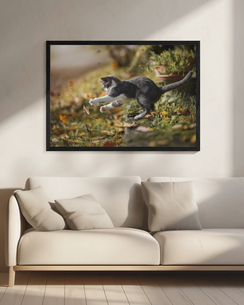 Autumn Play | Canvas
