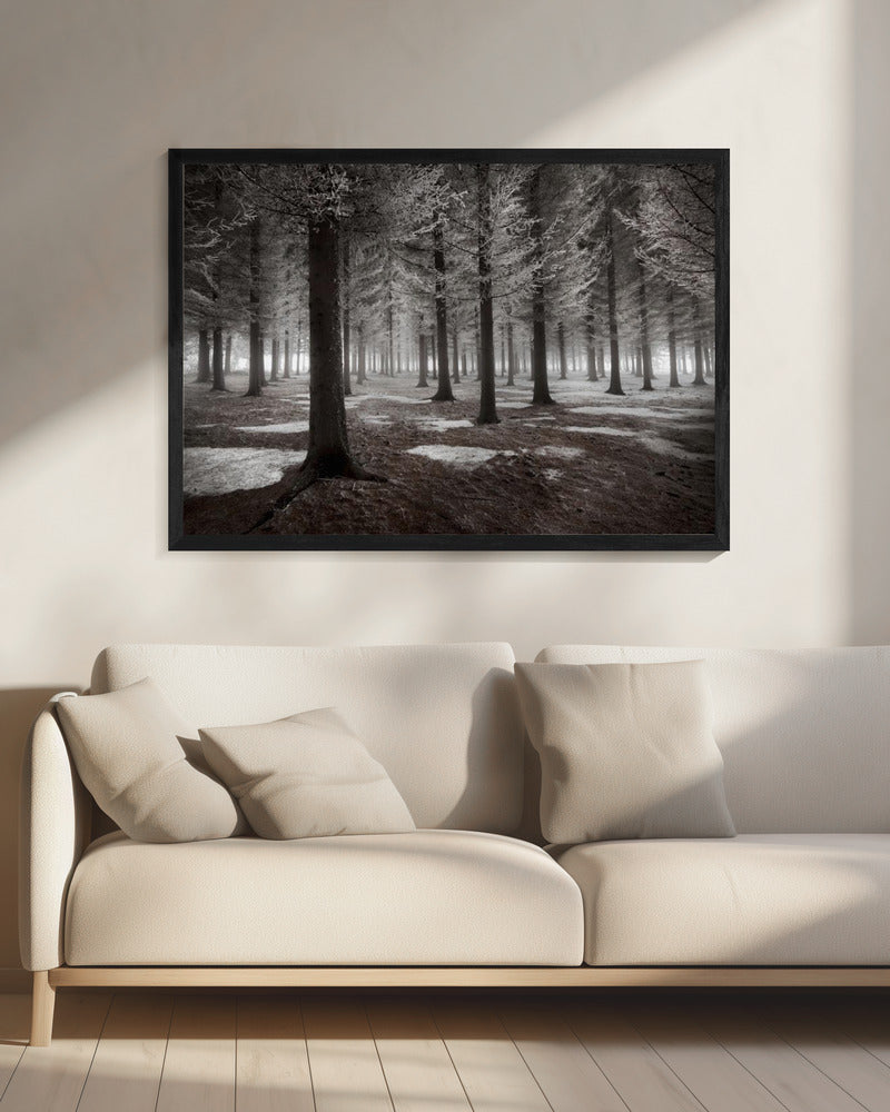 The onset of winter | Canvas