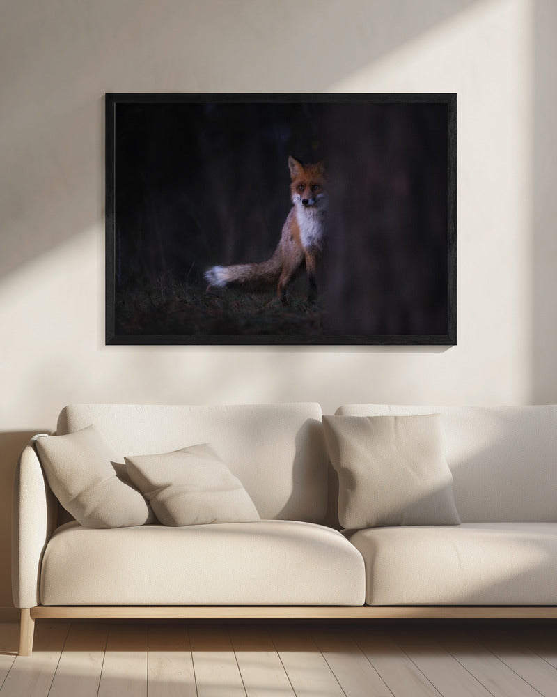 Glances | Canvas