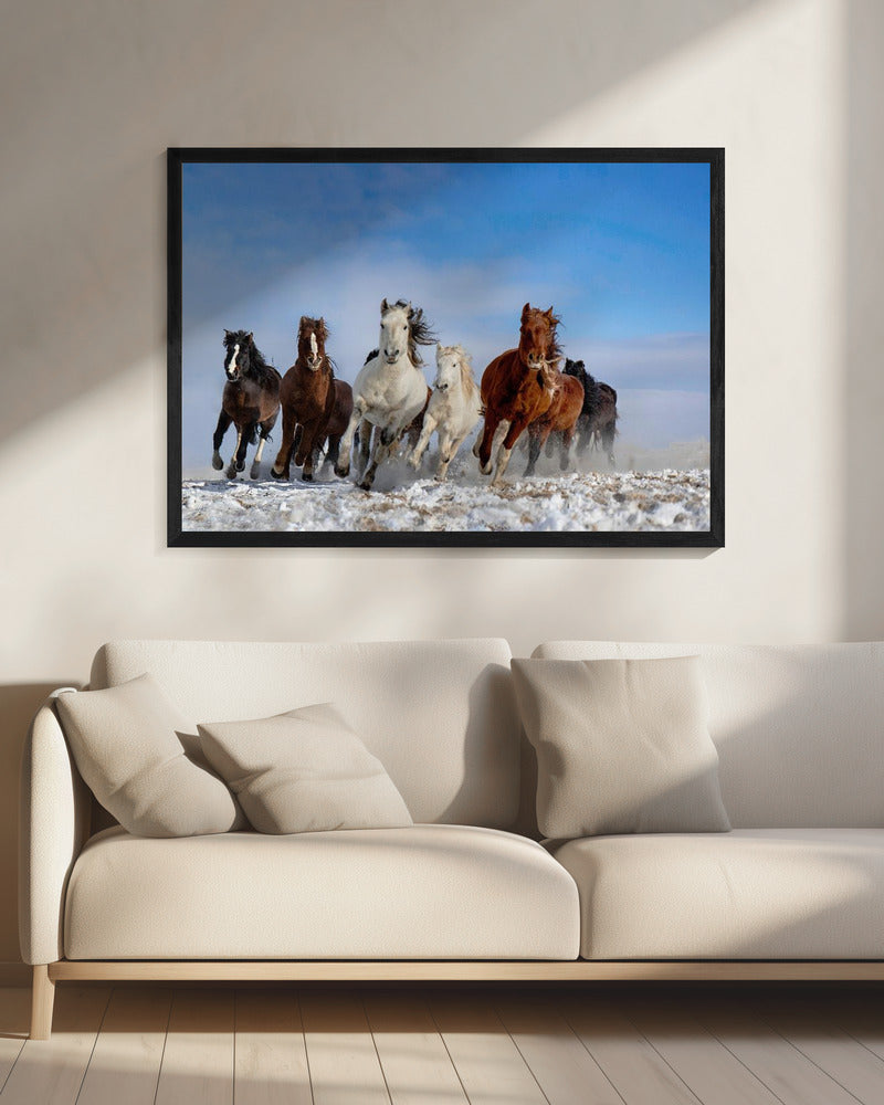 Mongolia Horses | Canvas