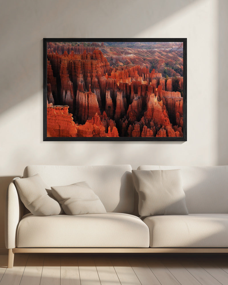Red City | Canvas