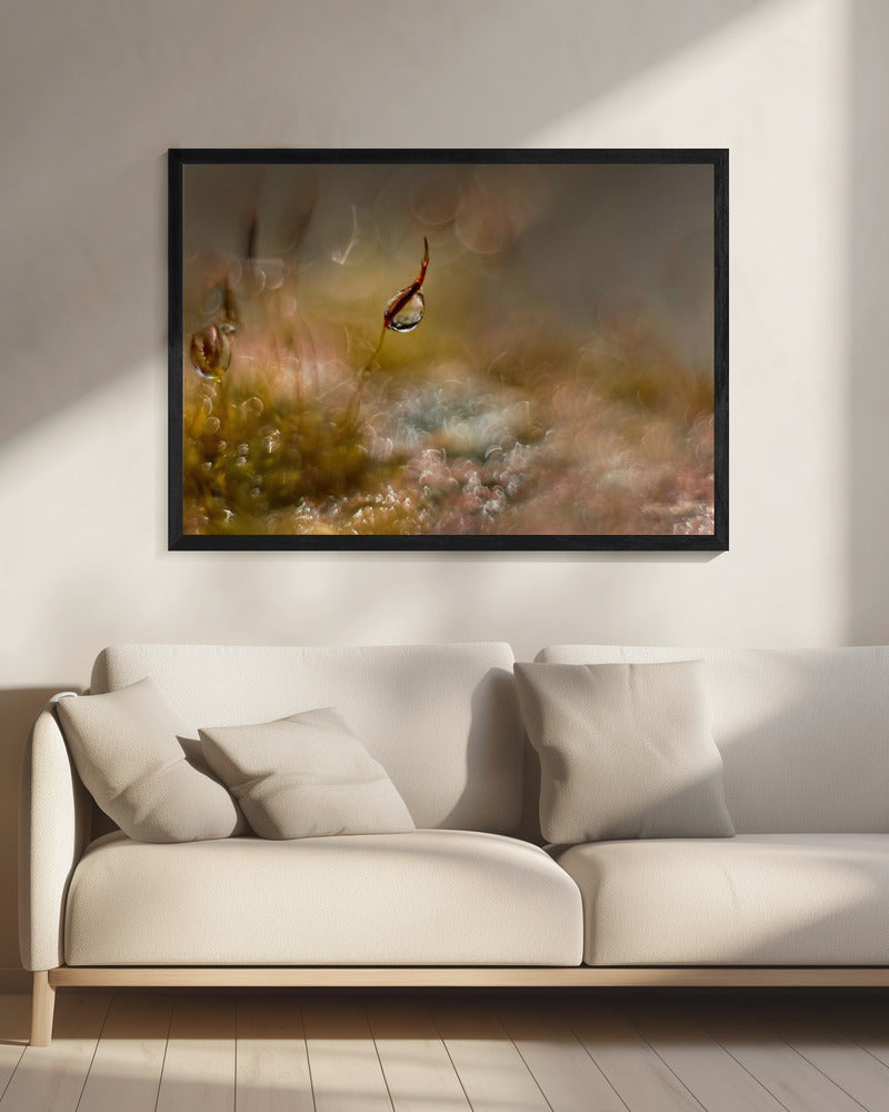 Moss world | Canvas