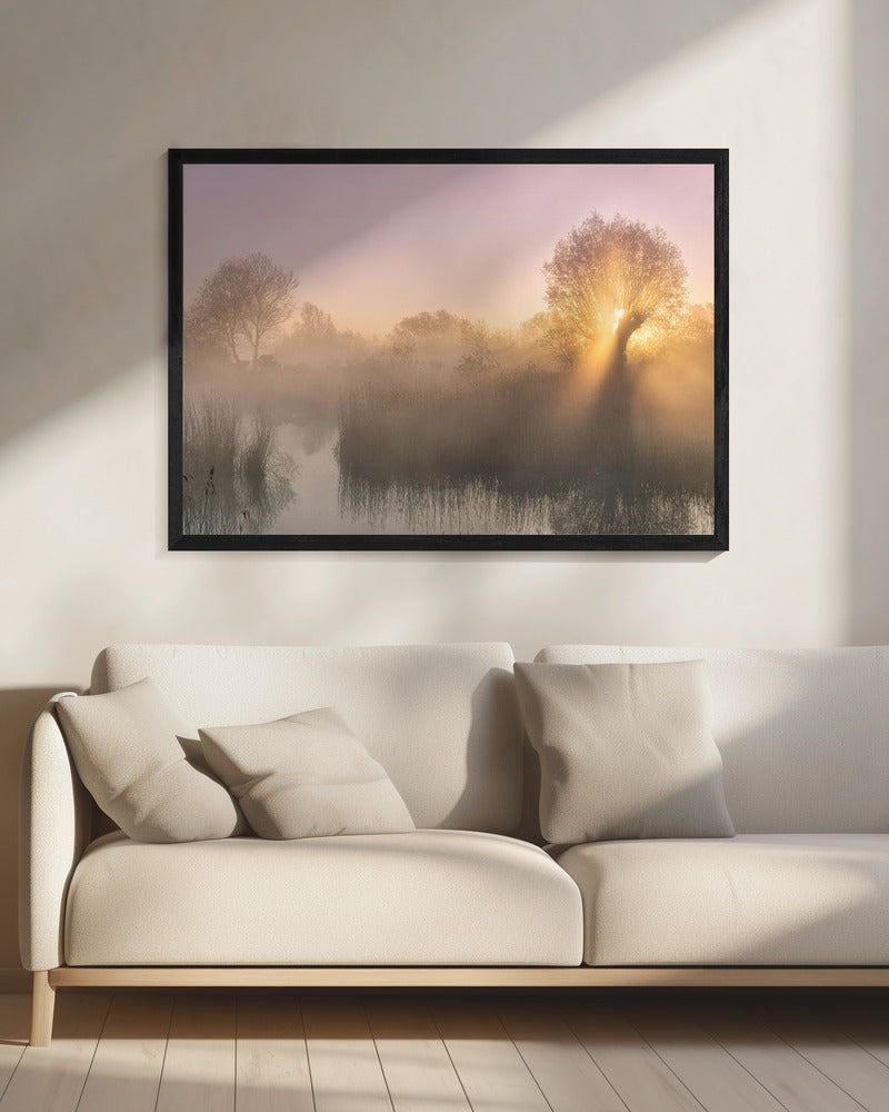 Silence | Canvas