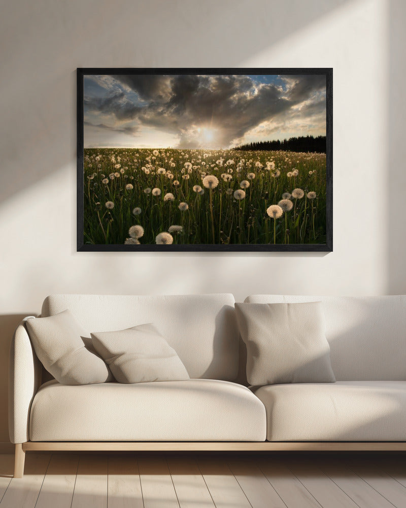 Lightbulbs | Canvas