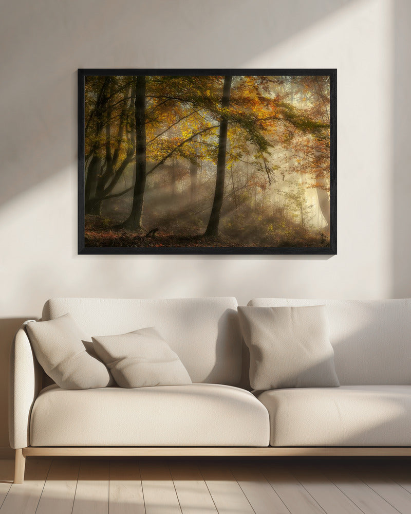 The lights of the forest | Canvas