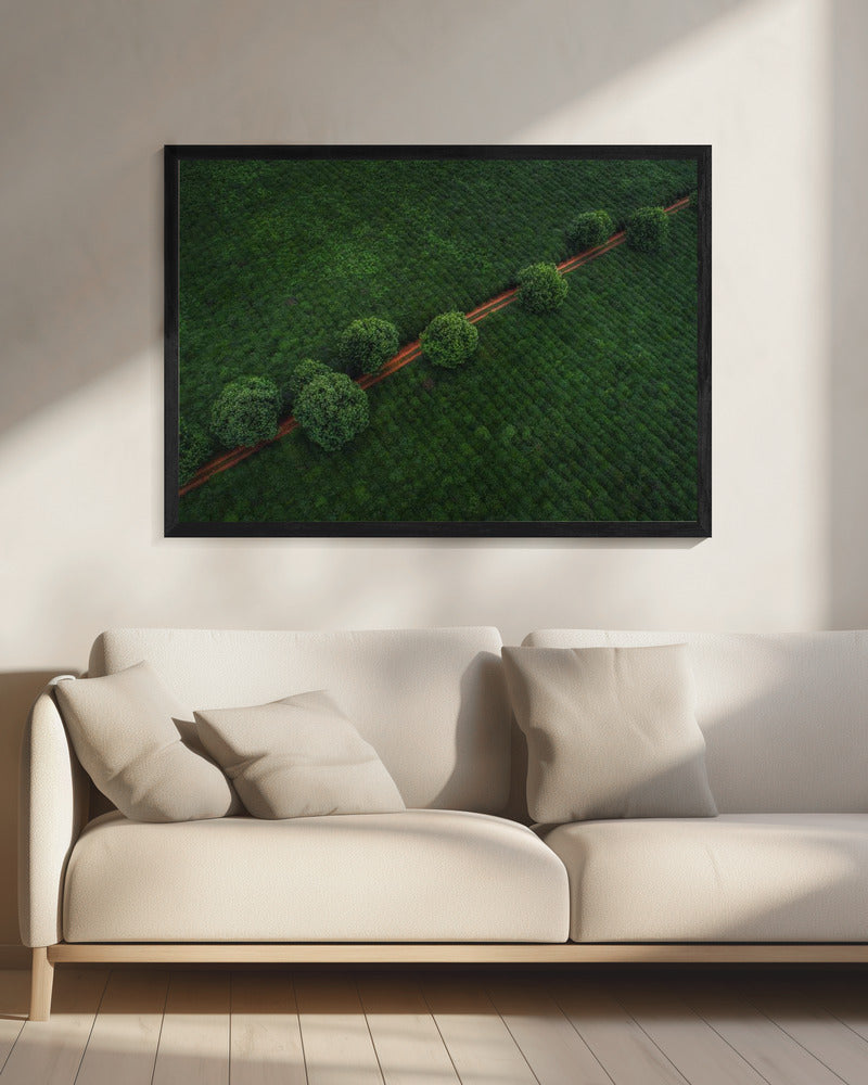 Green Pearls | Canvas