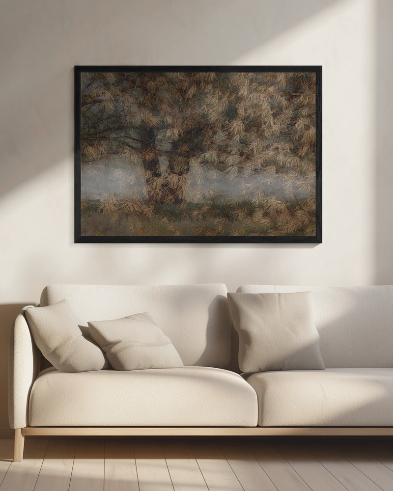Pine tree | Canvas