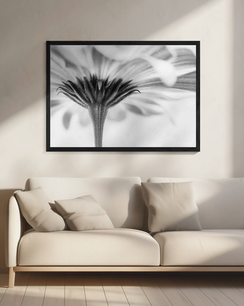 Touched | Canvas