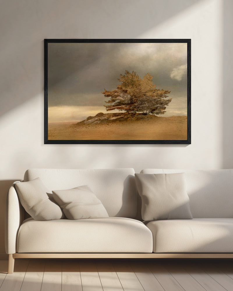 Pine and dunes | Canvas