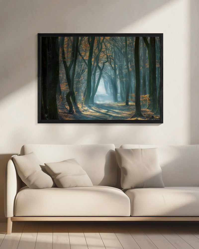 Cold Light | Canvas